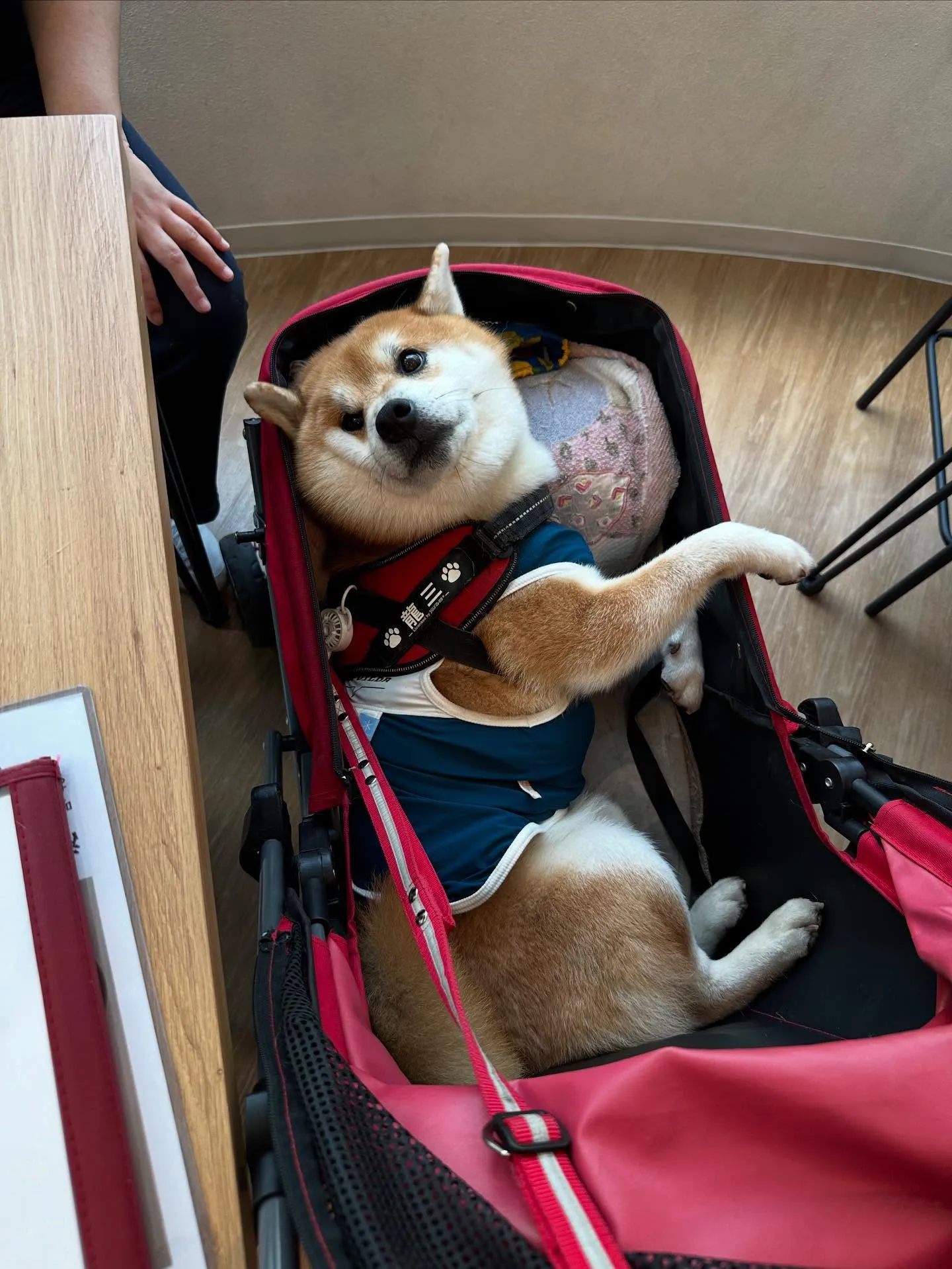 初開催！
