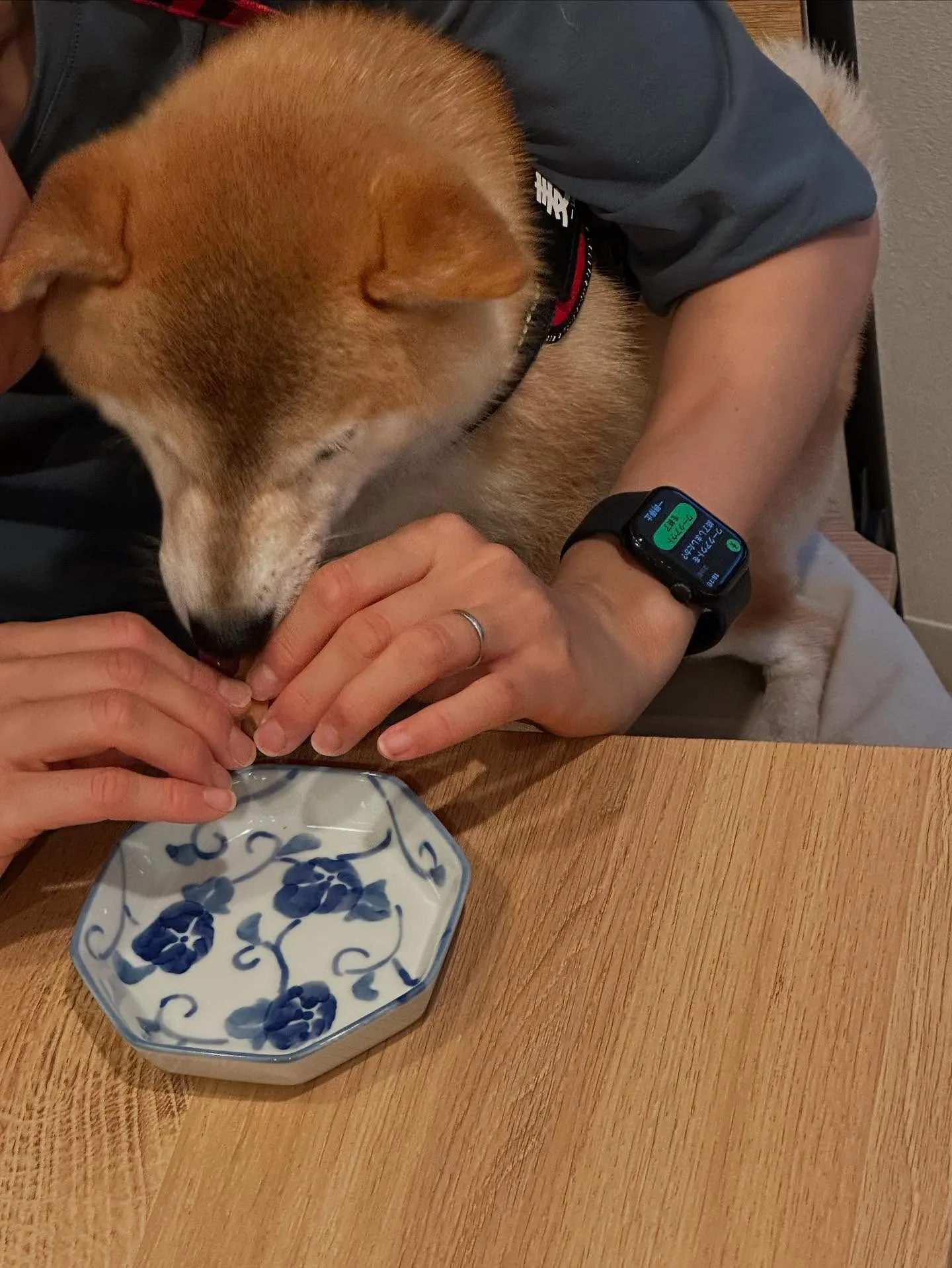 初開催！