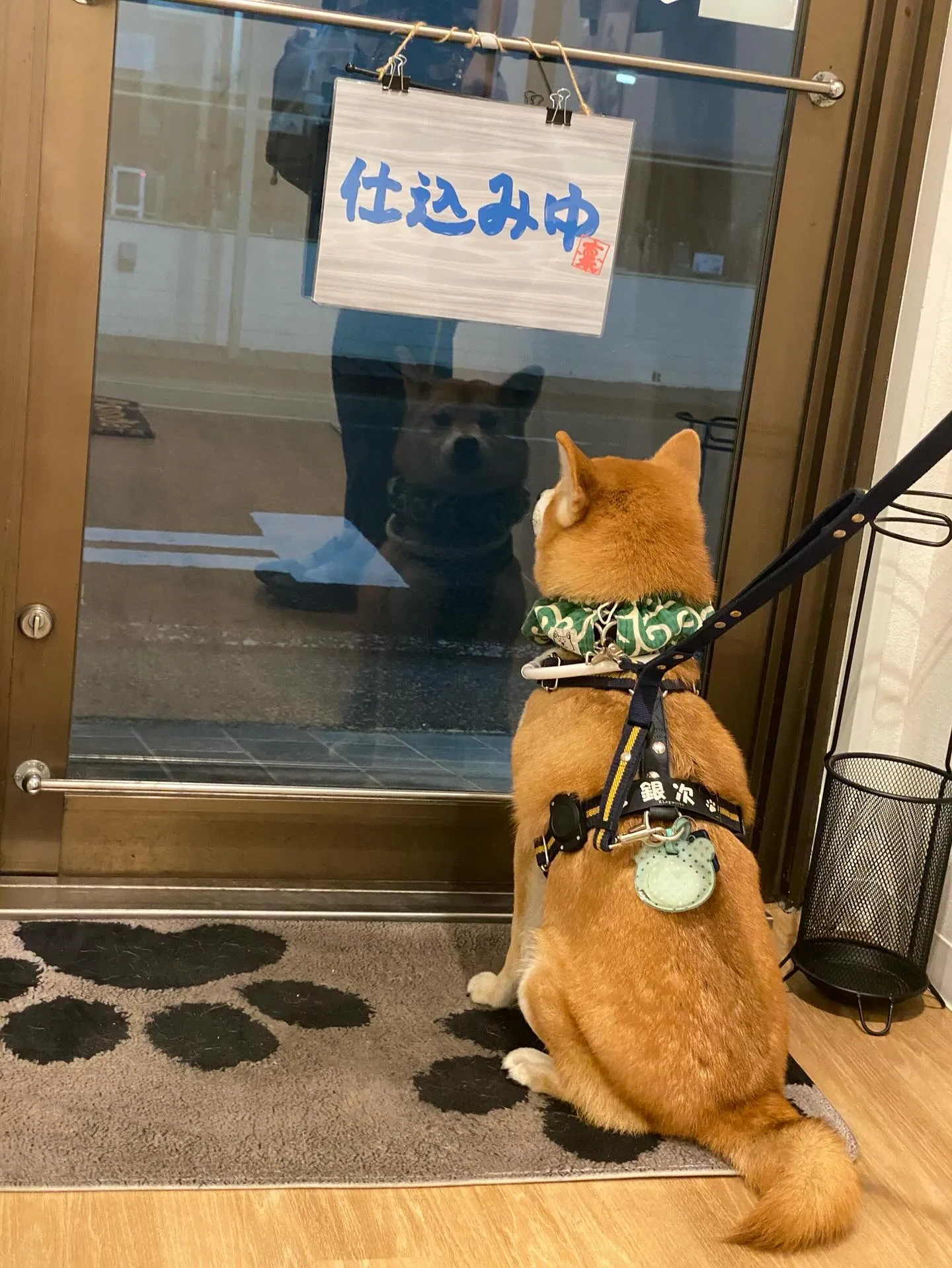 初開催！