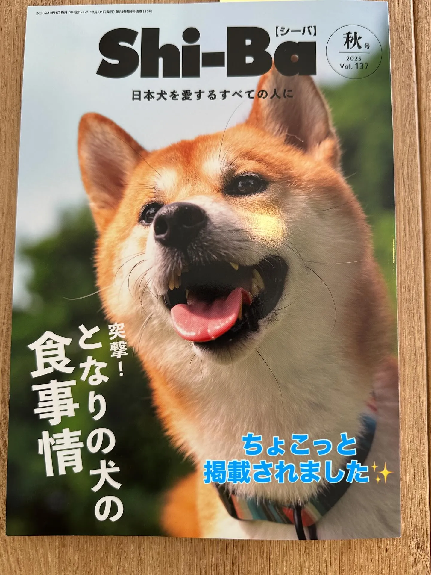.Shi-Ba