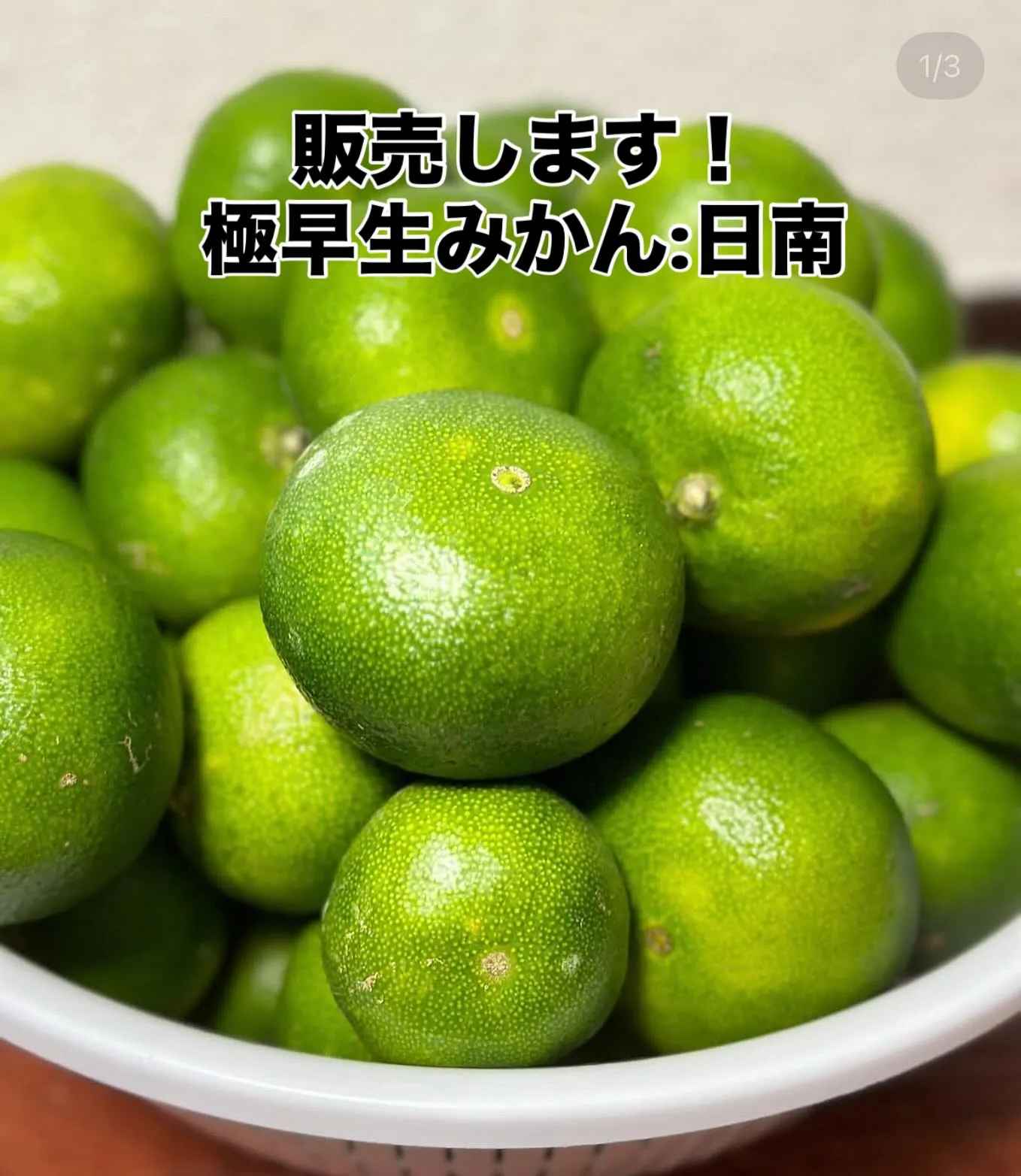 極早生みかん