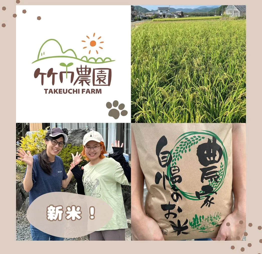 .お米