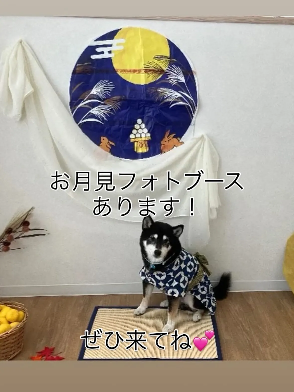 フォトブース