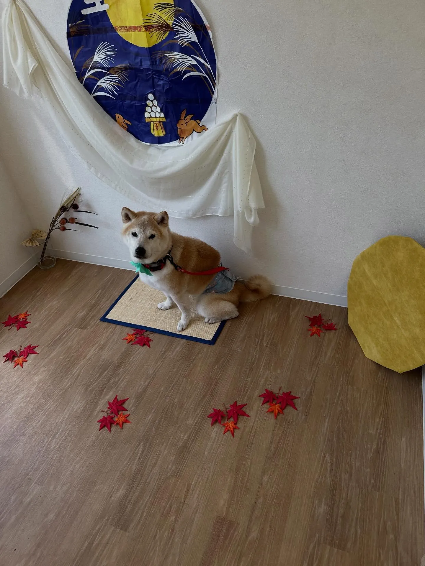 イベント・