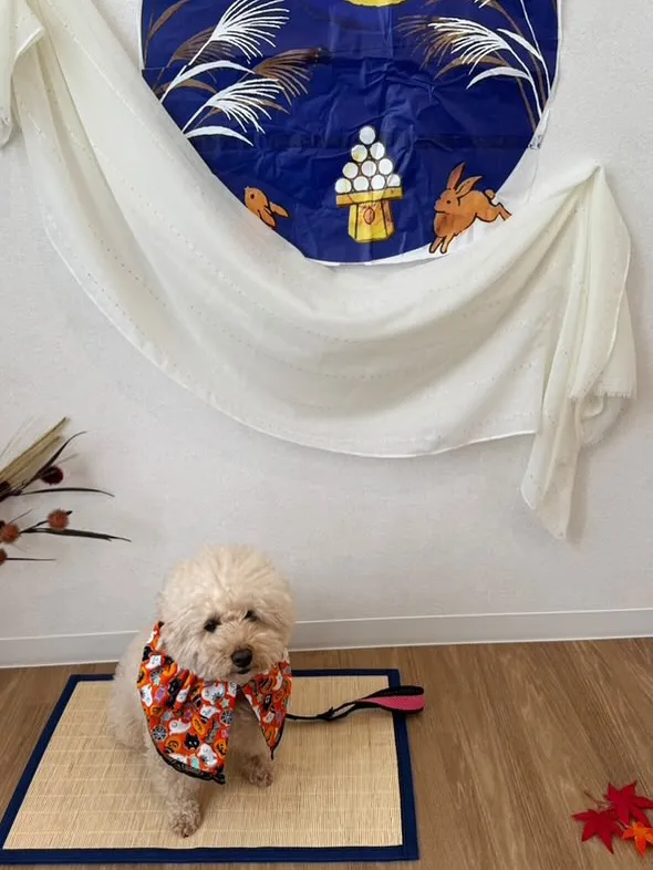 イベント・