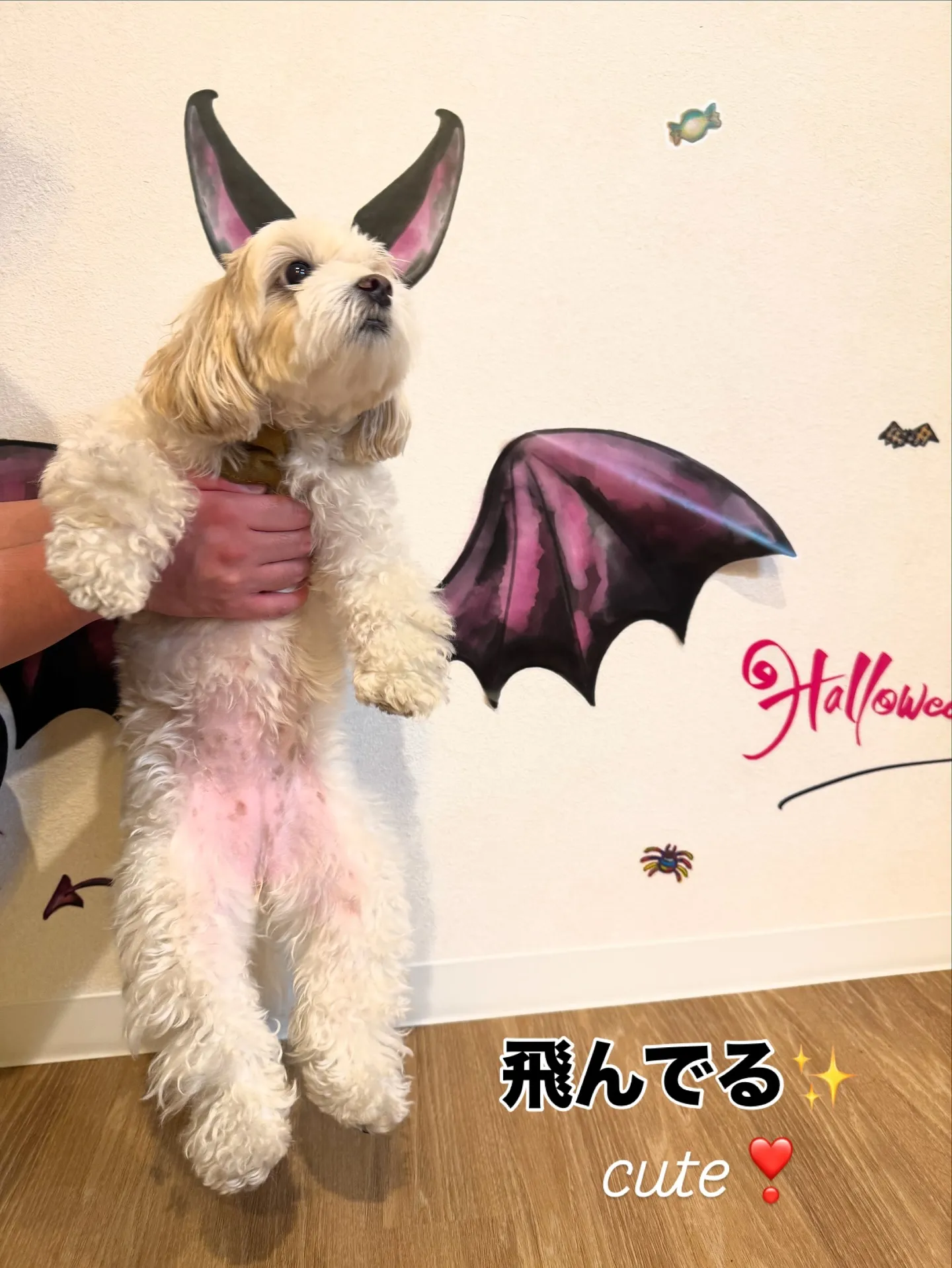 Halloween Photo Booth