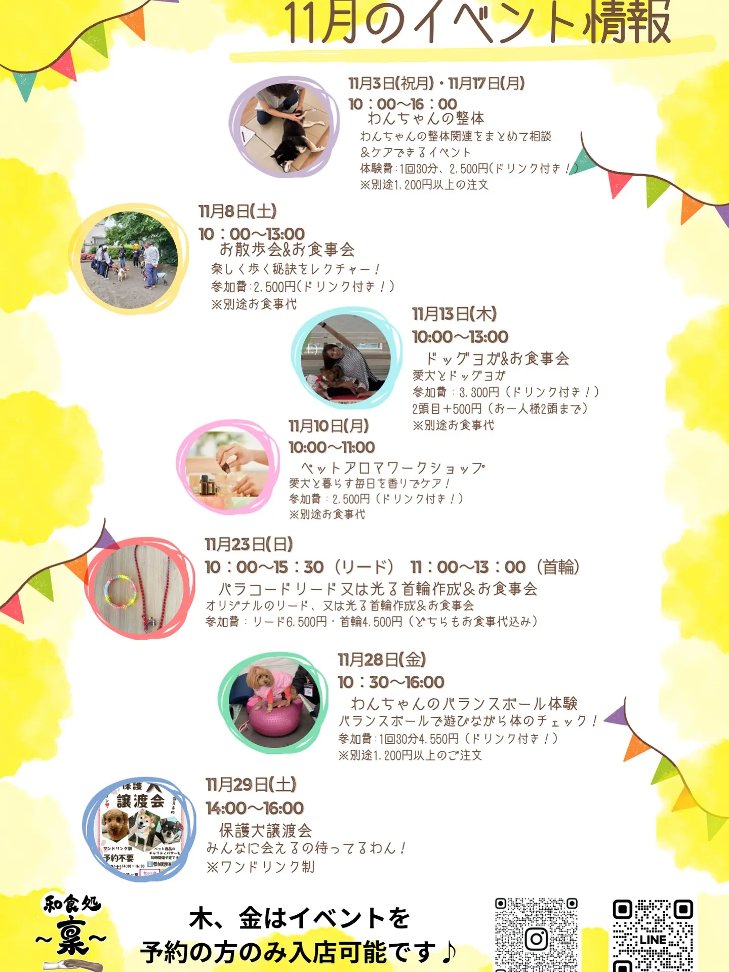 🌿11月のイベント情報🌿