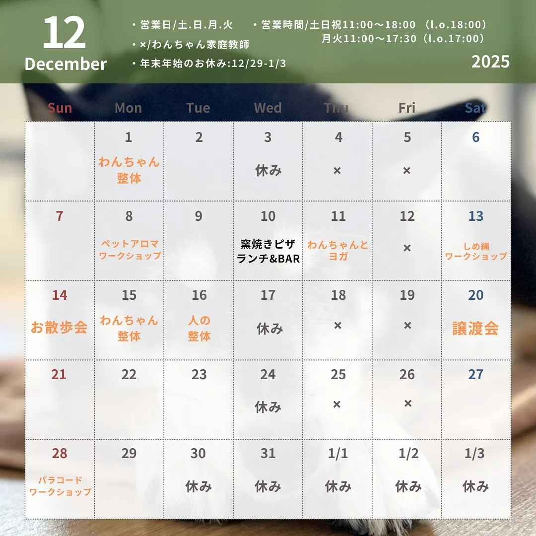 🌟 12月の営業カレンダー 🌟