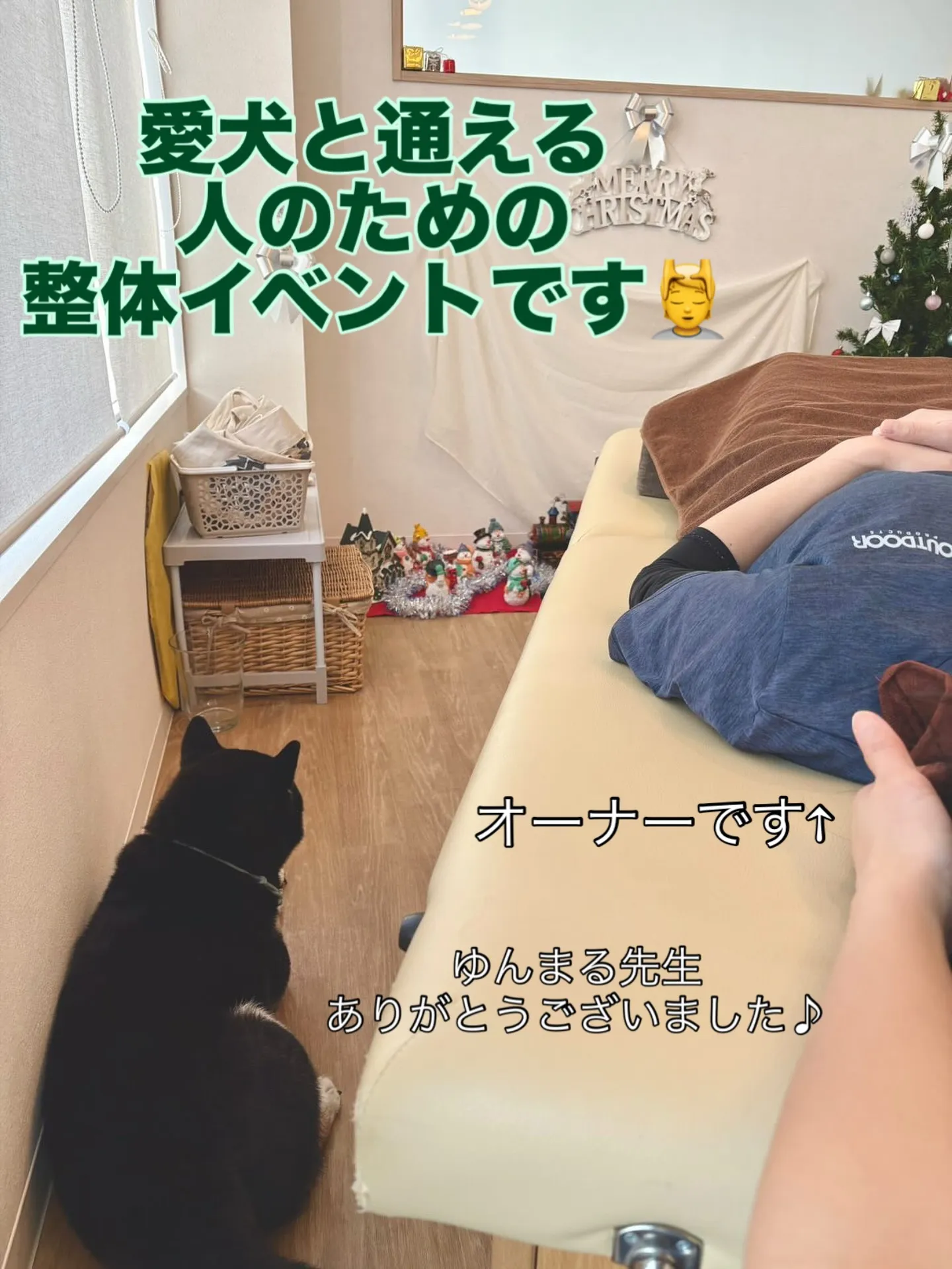 🐾愛犬と通える整体イベント開催しました🐾