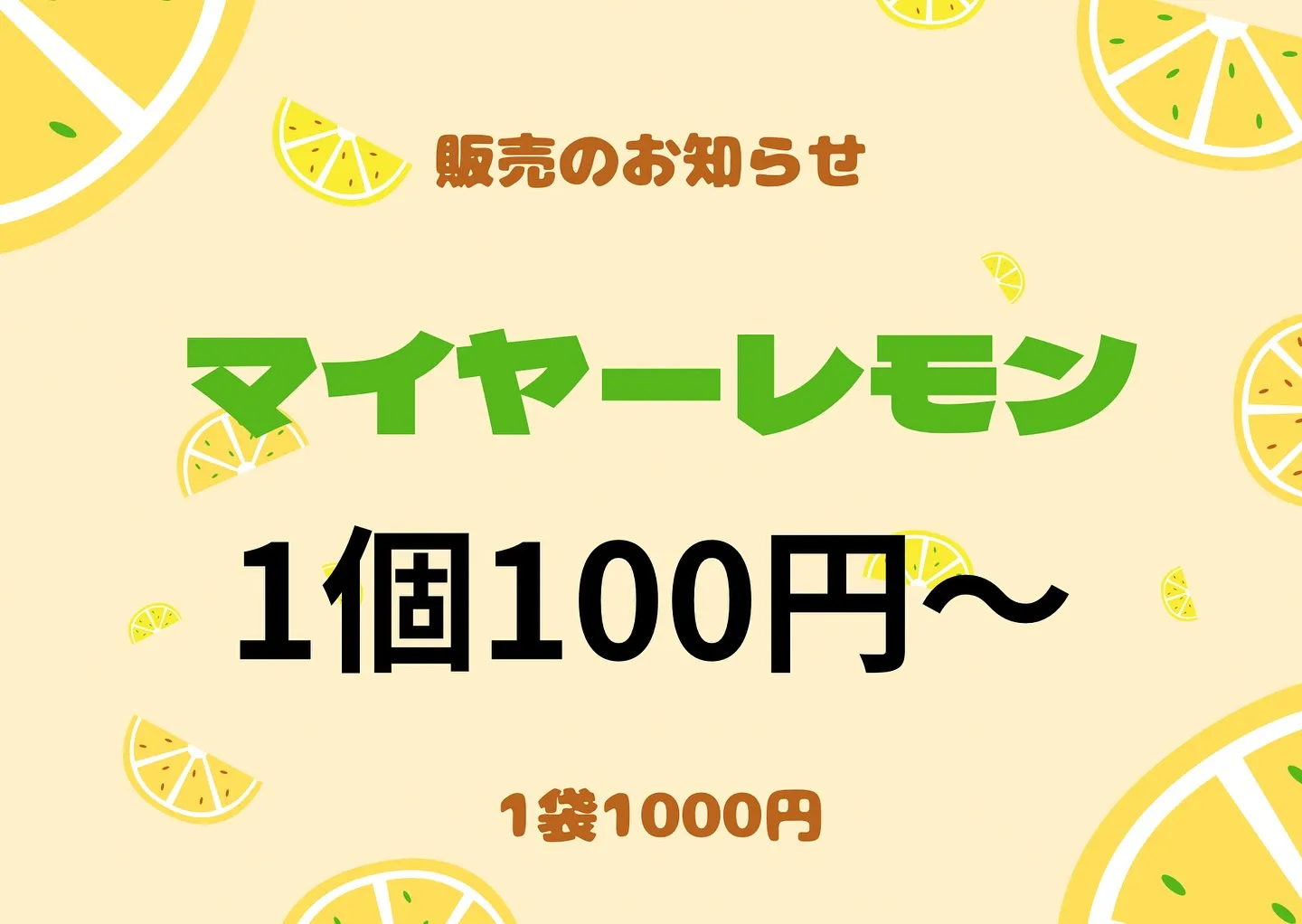 《国産！マイヤーレモン販売》