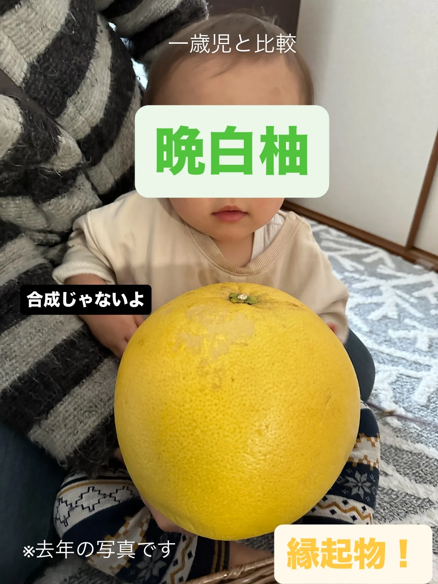 柑橘ラッシュ！！