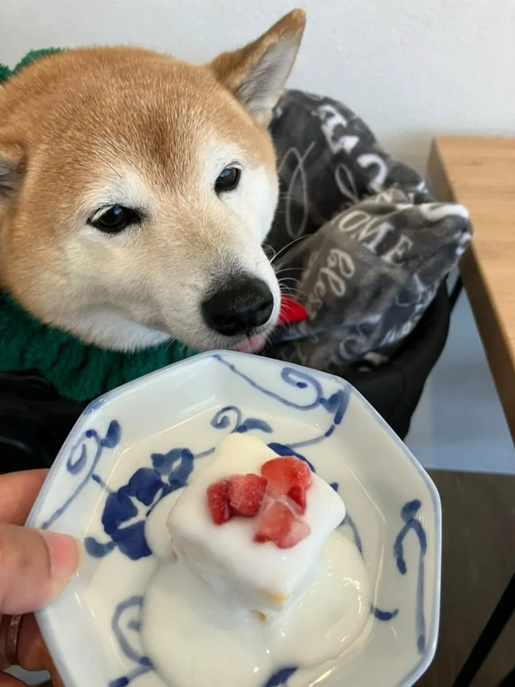 🎄**クリスマス会でした！**🎄