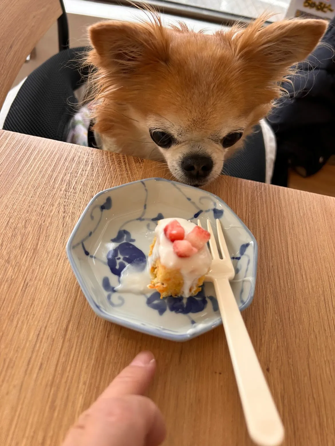 🎄**クリスマス会でした！**🎄