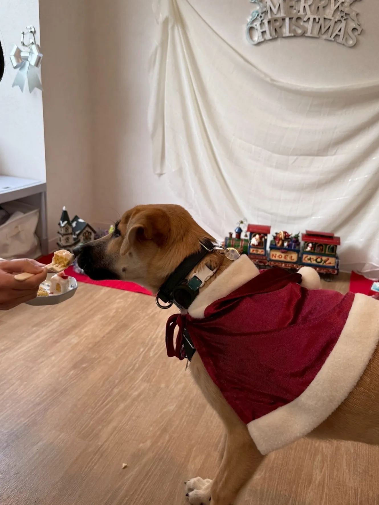 🎄**クリスマス会でした！**🎄
