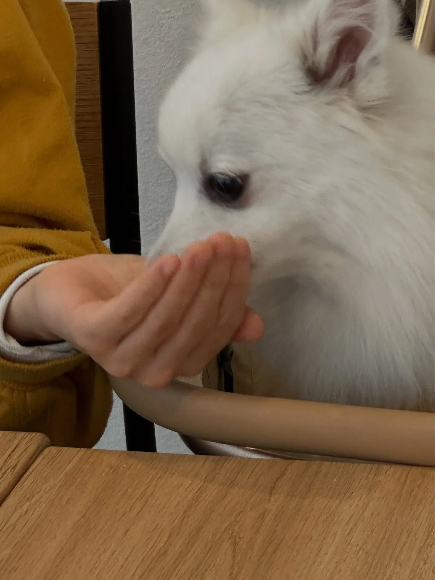 🎄**クリスマス会でした！**🎄