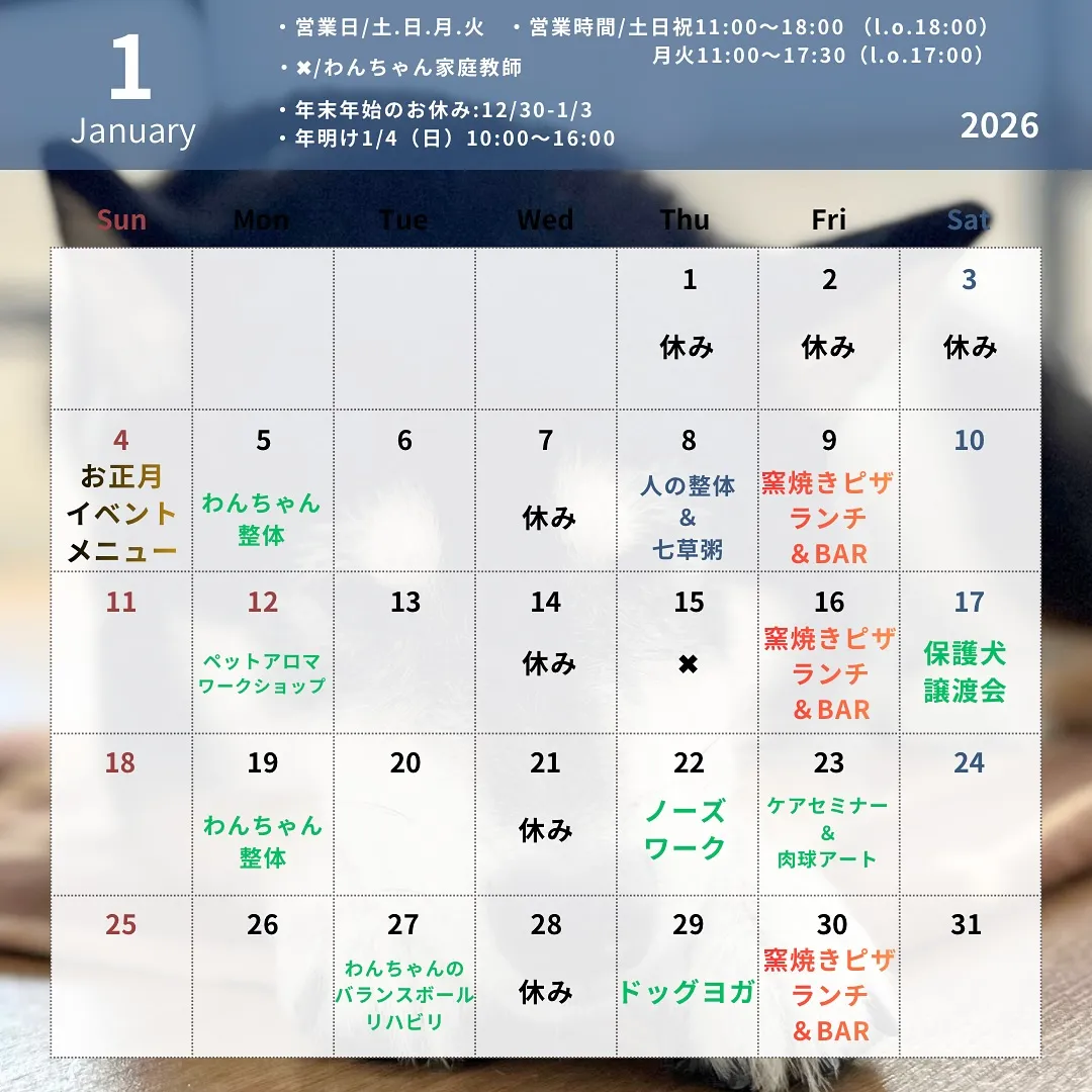 🎍 1月のスケジュールのお知らせ 🎍