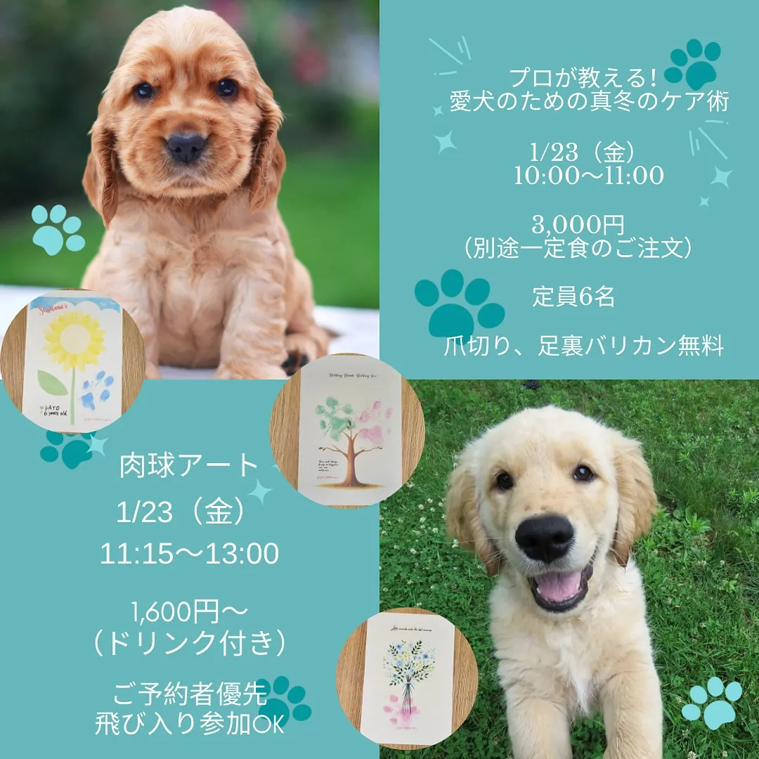 \ 🎉イベント2つ同日開催！✨ //