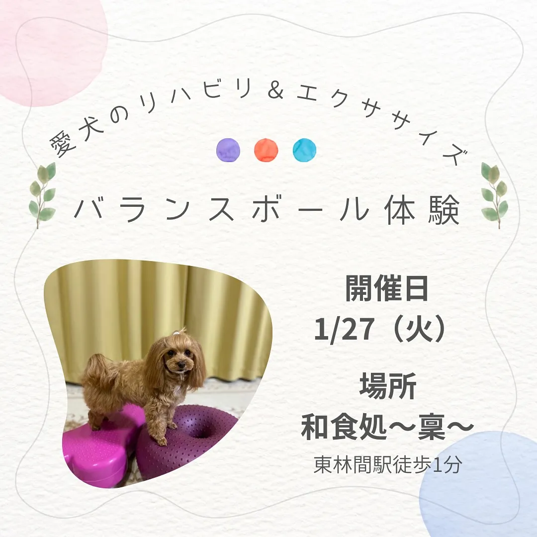 イベント参加者のみ入店可能です🉑