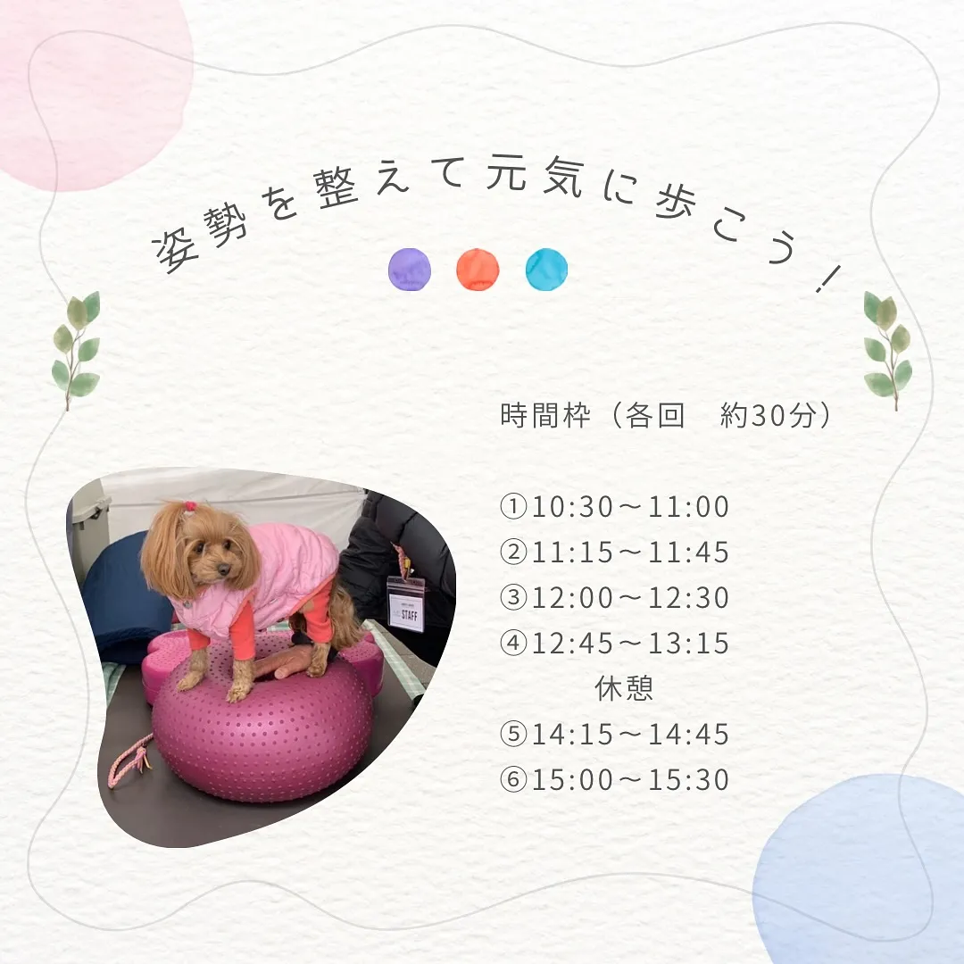 イベント参加者のみ入店可能です🉑