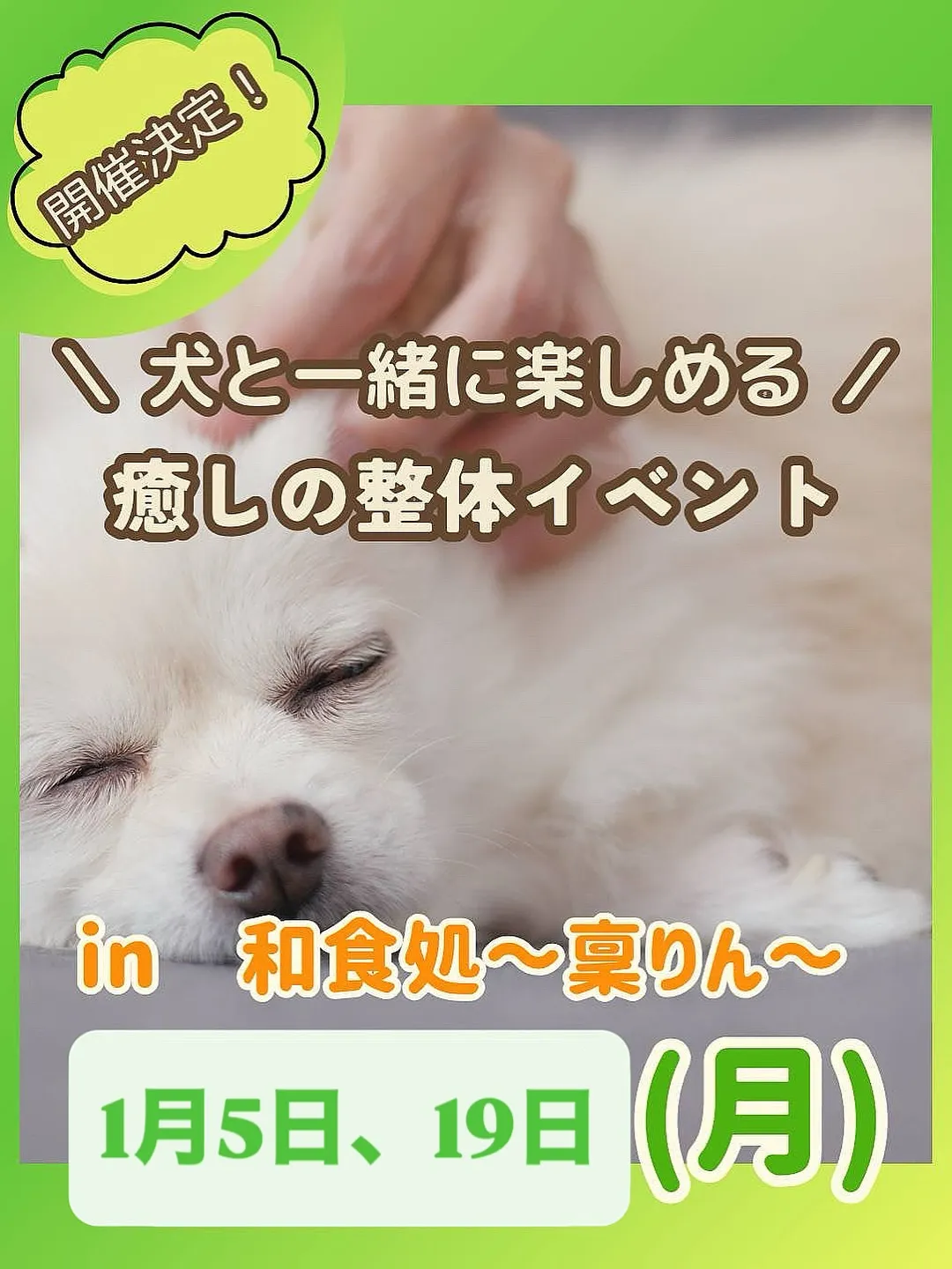 🌿1月のイベント情報🌿