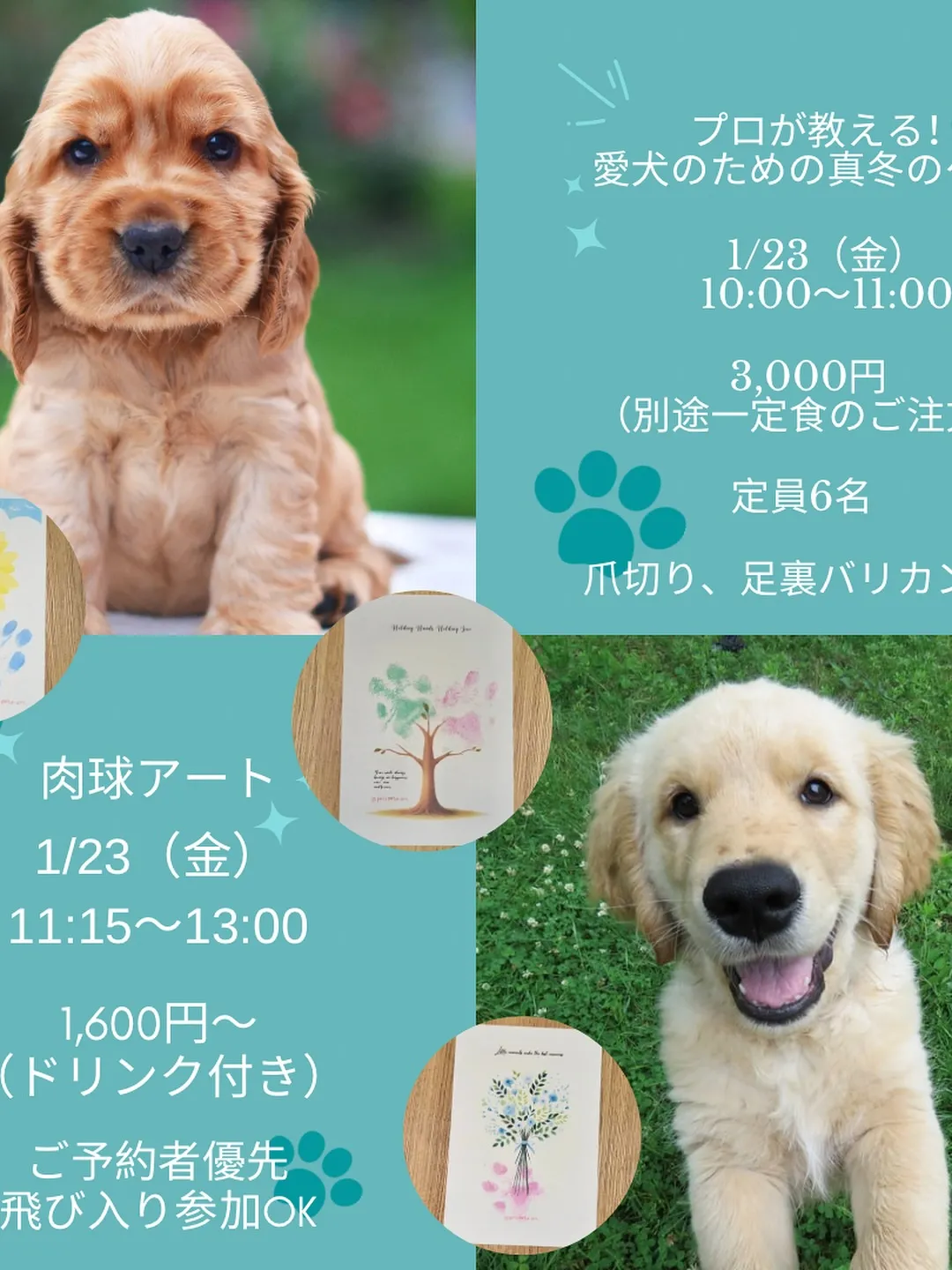 🌿1月のイベント情報🌿