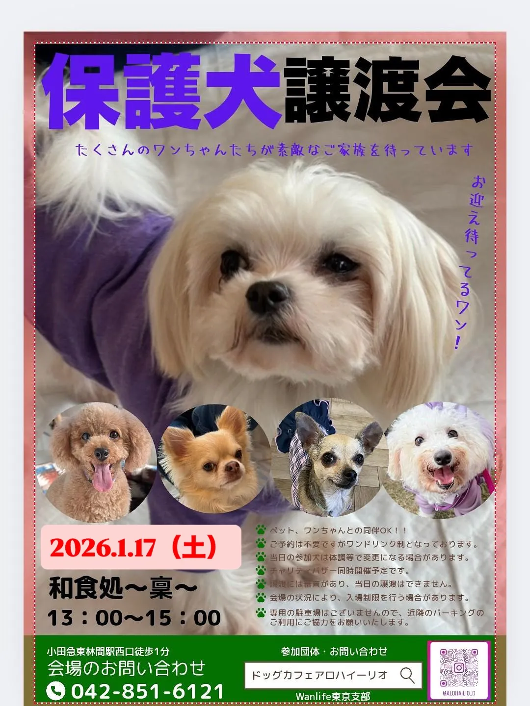 🌿1月のイベント情報🌿