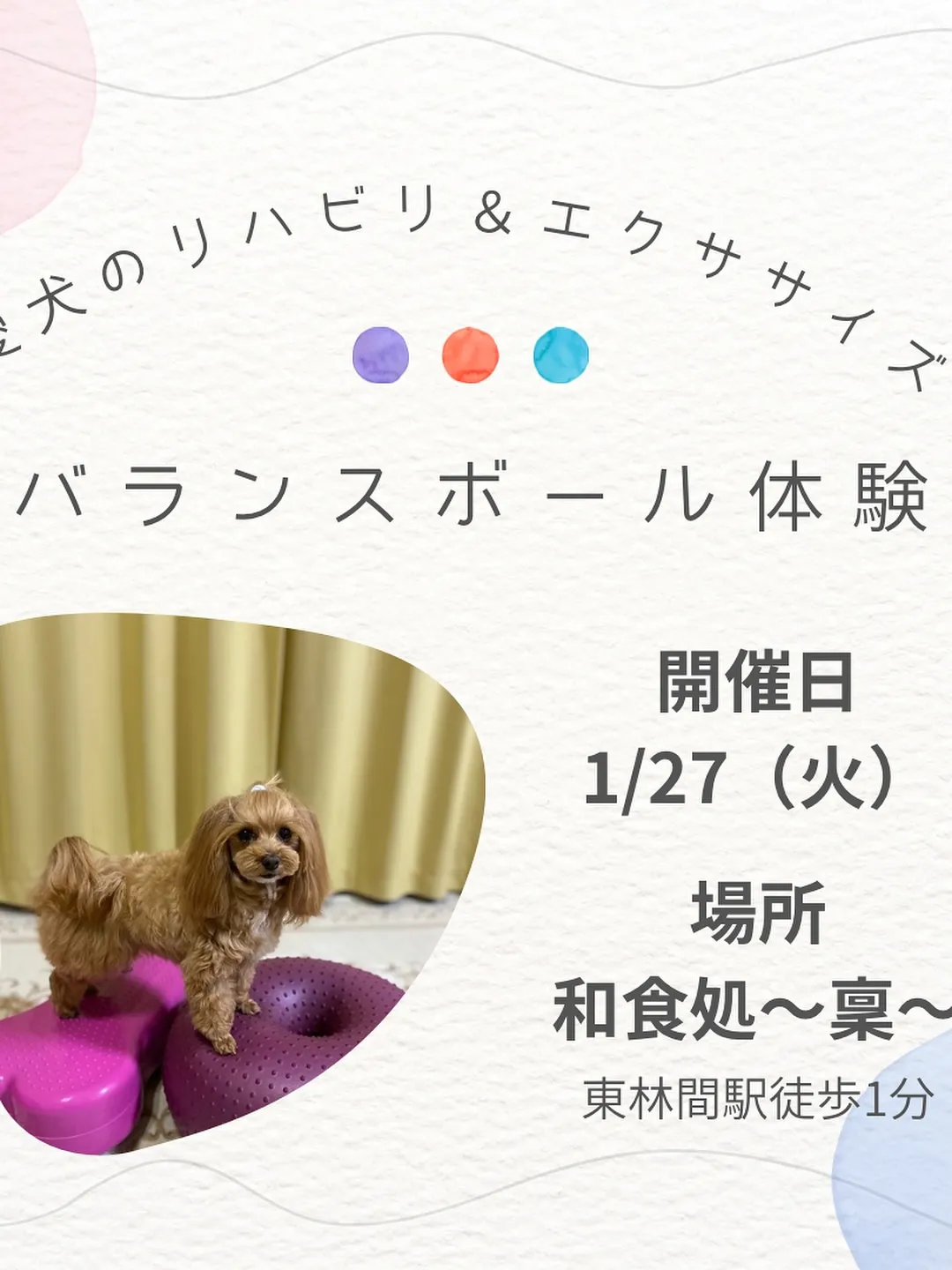 🌿1月のイベント情報🌿