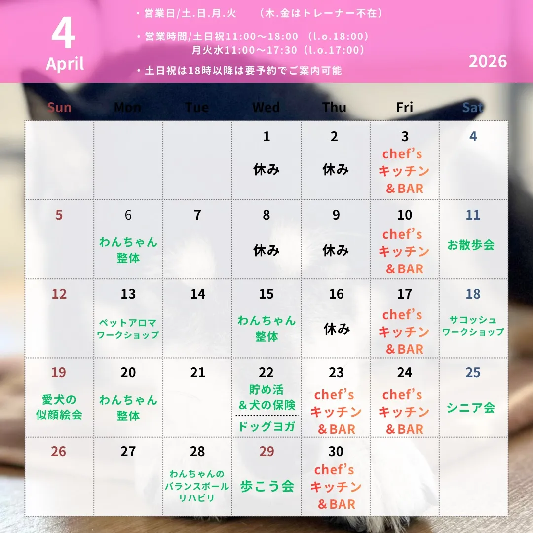 🌸4月のスケジュールのお知らせ 🌸