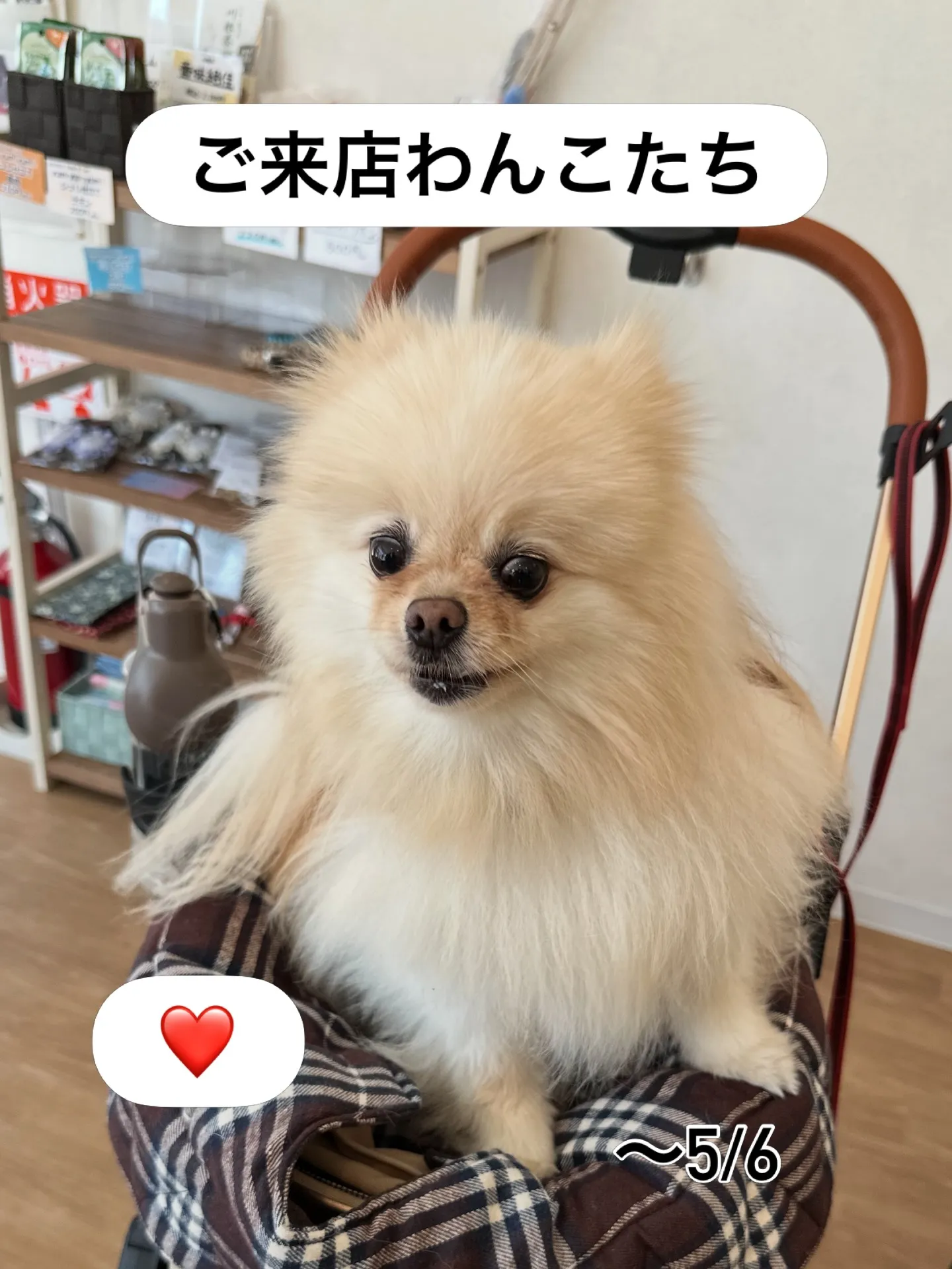《ご来店に感謝》