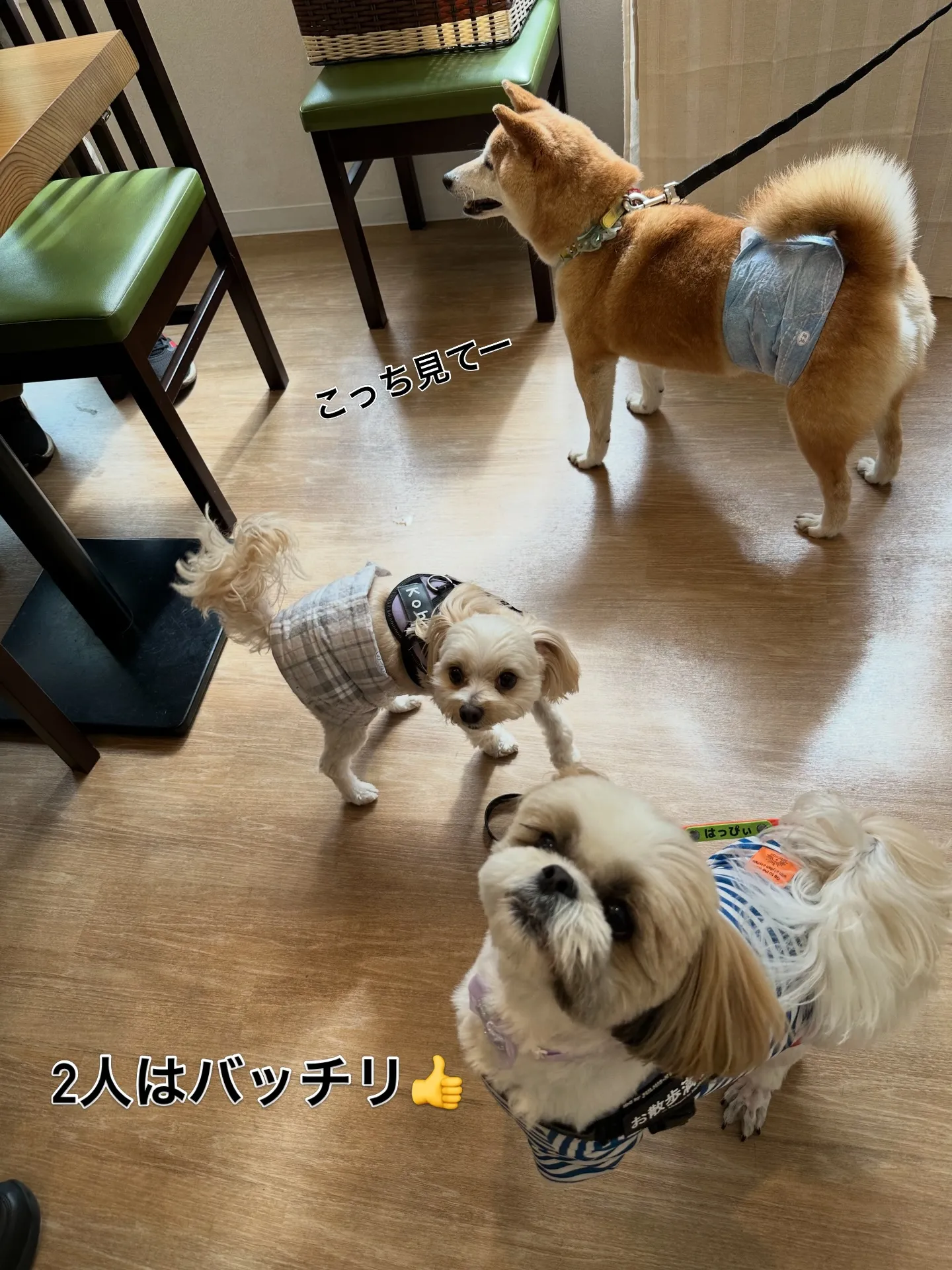 《ご来店に感謝》