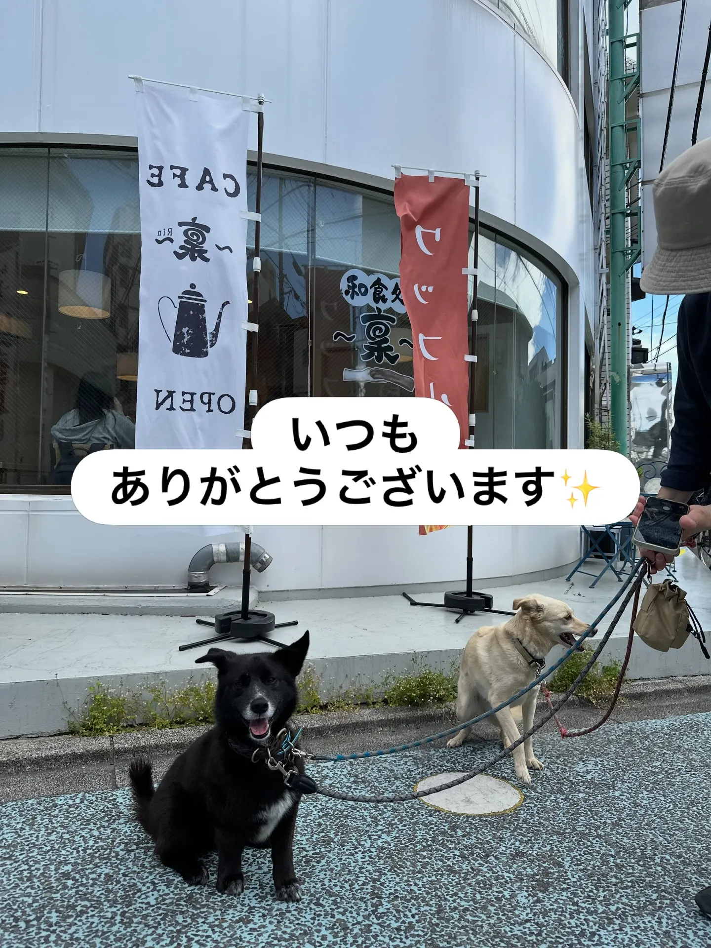 《ご来店に感謝》