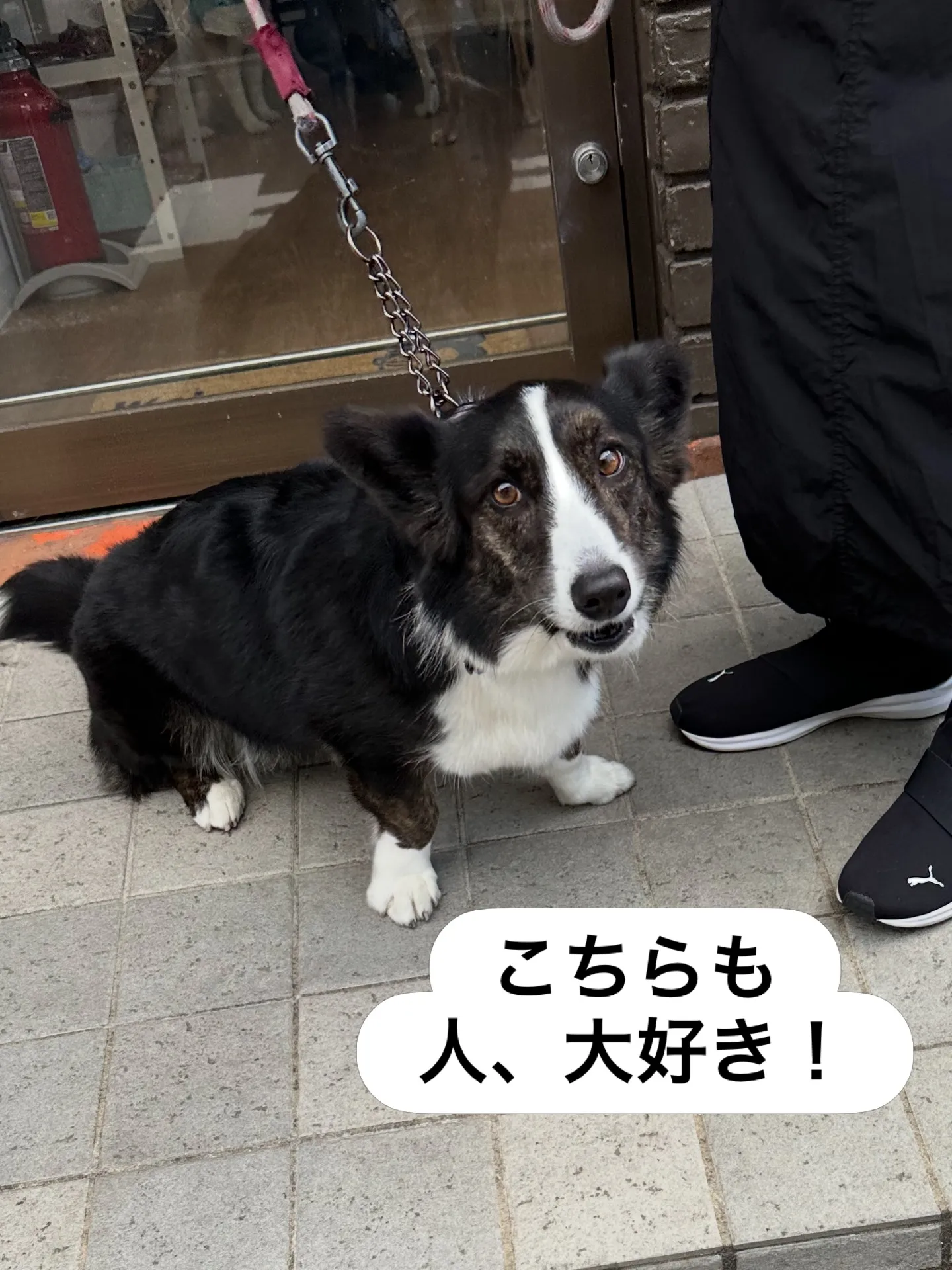 《ご来店に感謝》