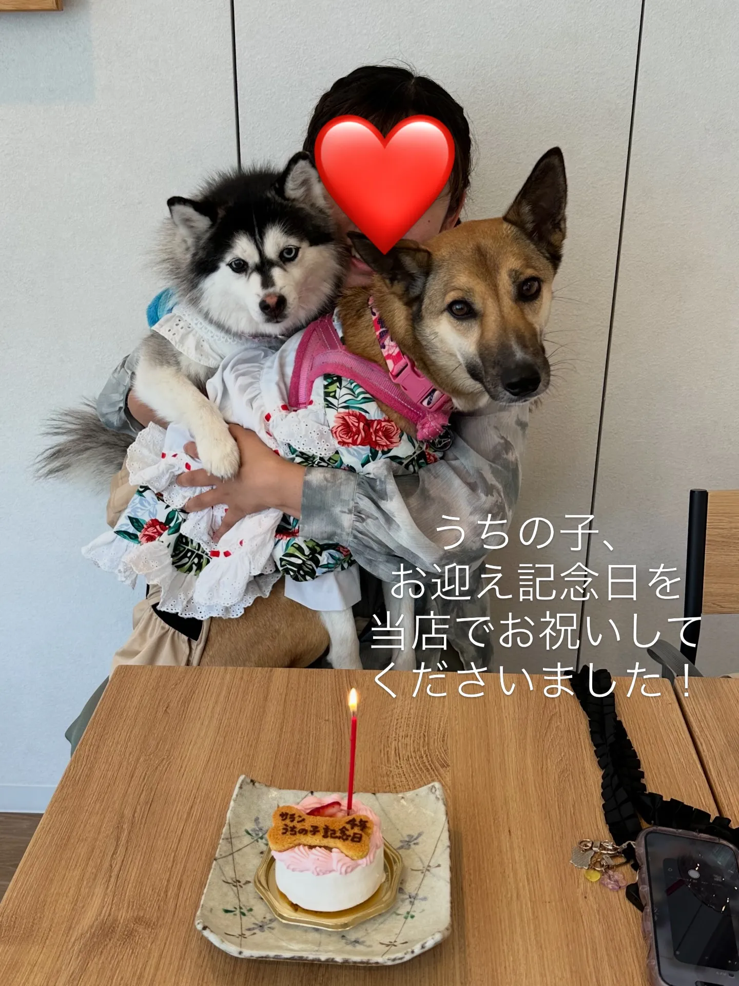 《ご来店に感謝》