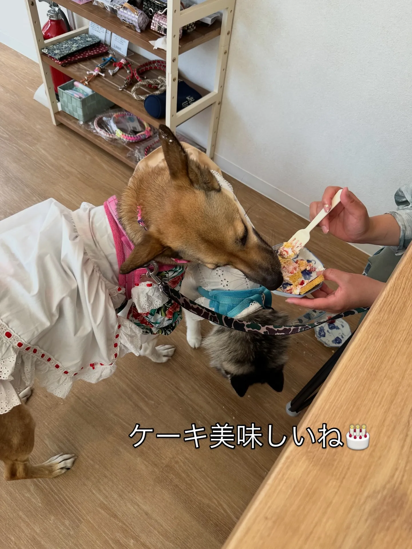 《ご来店に感謝》