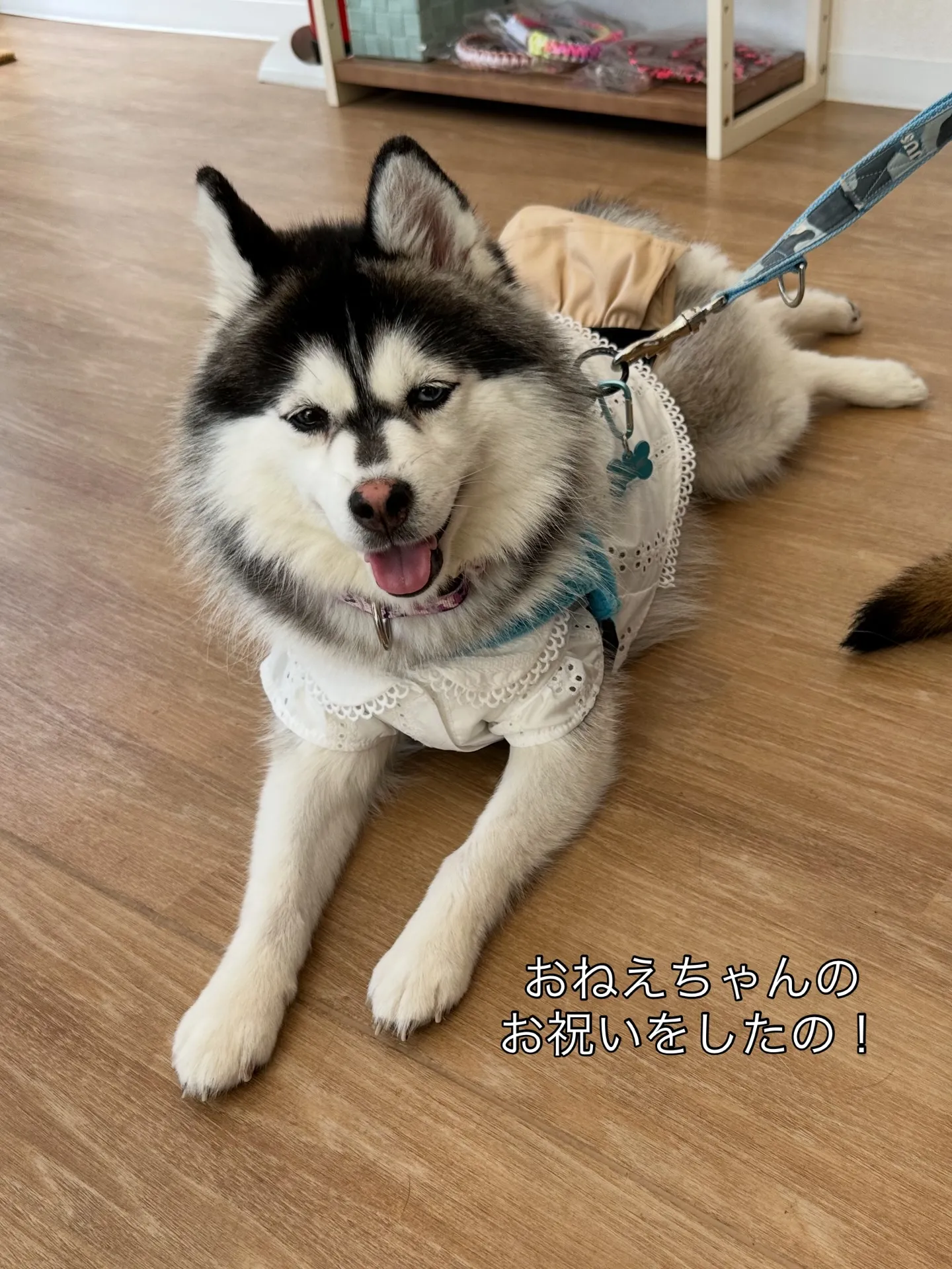 《ご来店に感謝》