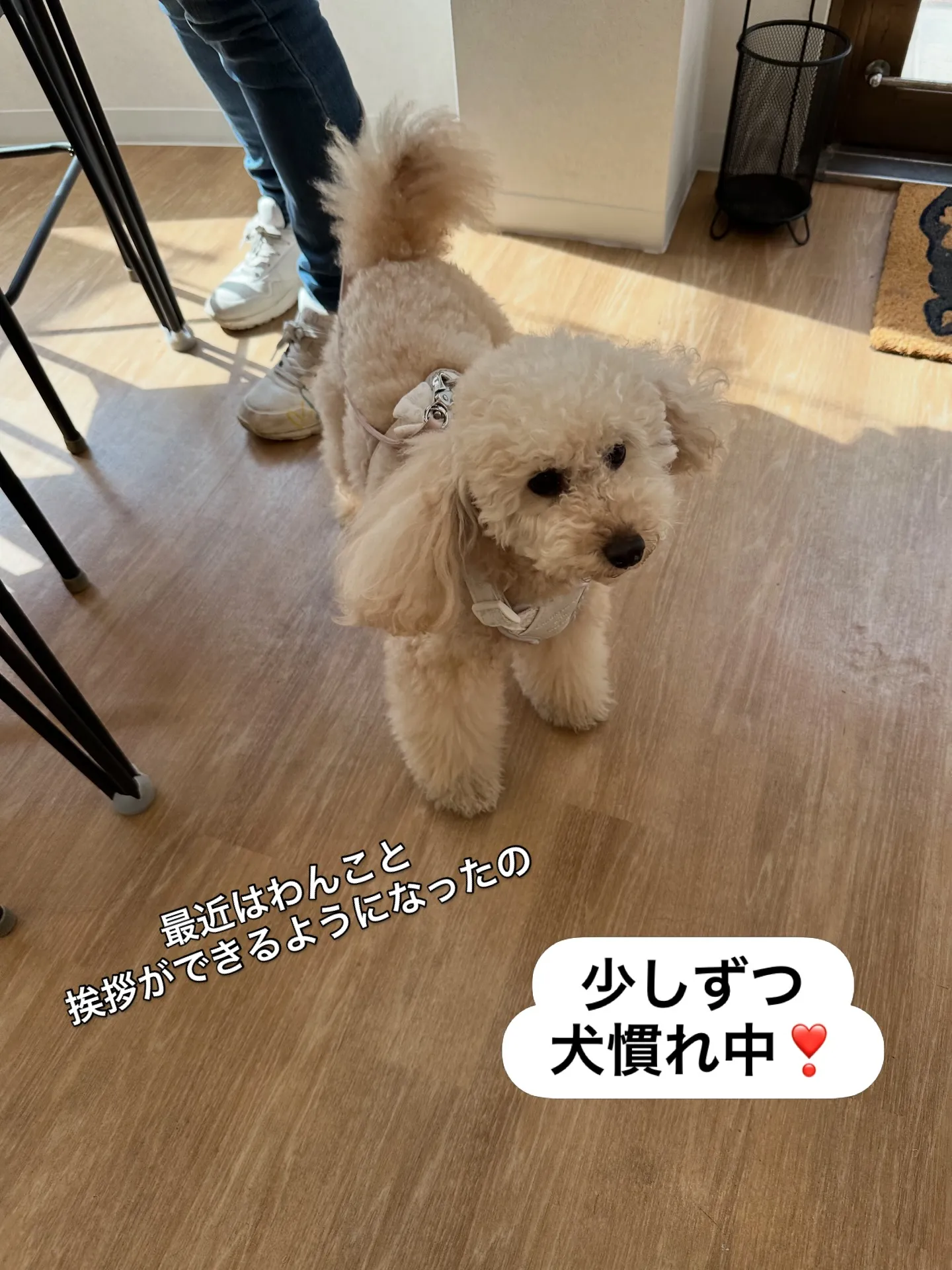 《ご来店に感謝》