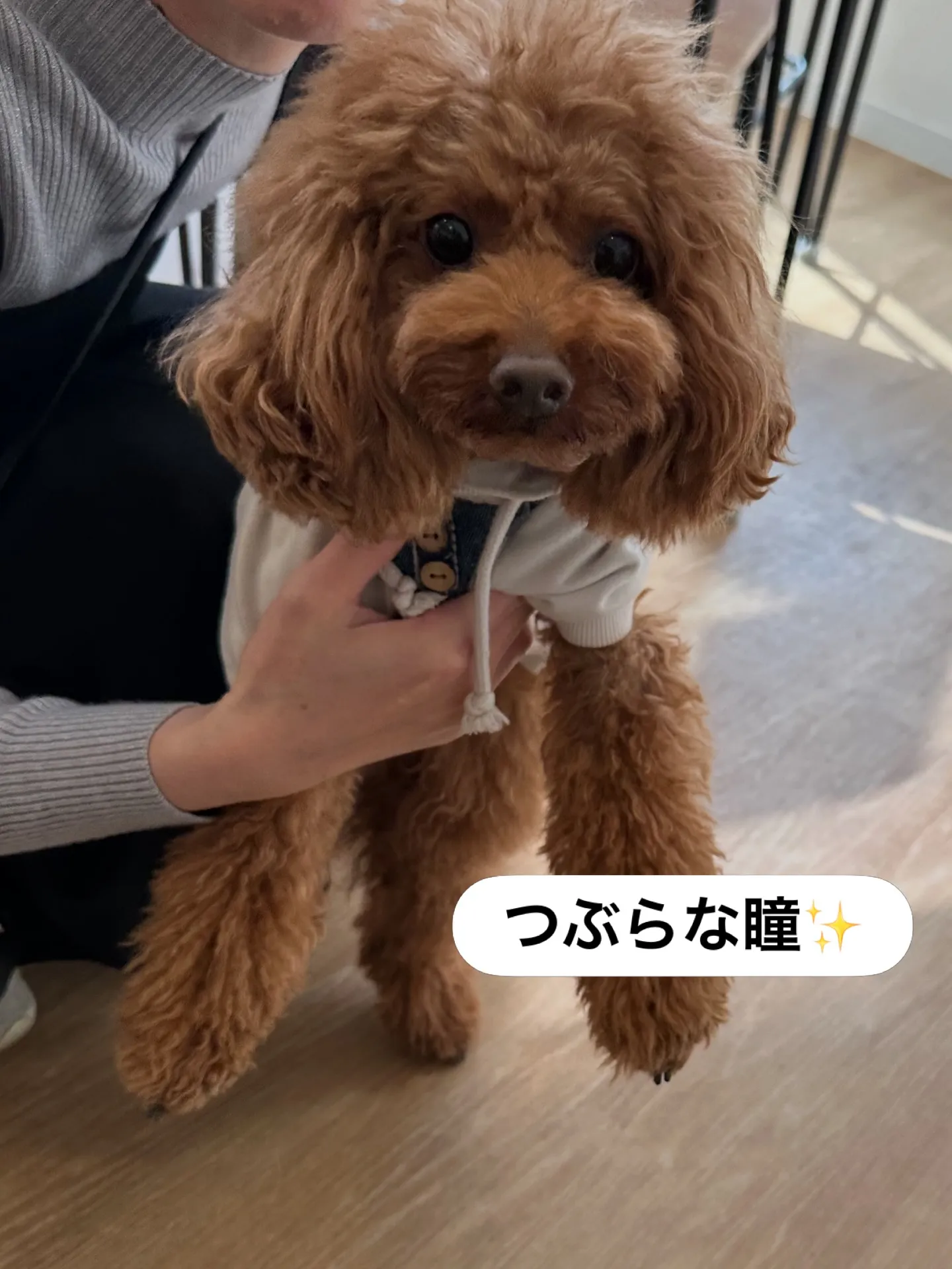 《ご来店に感謝》