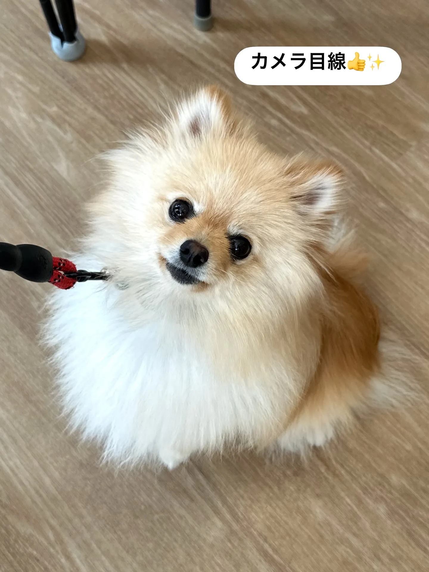《ご来店に感謝》