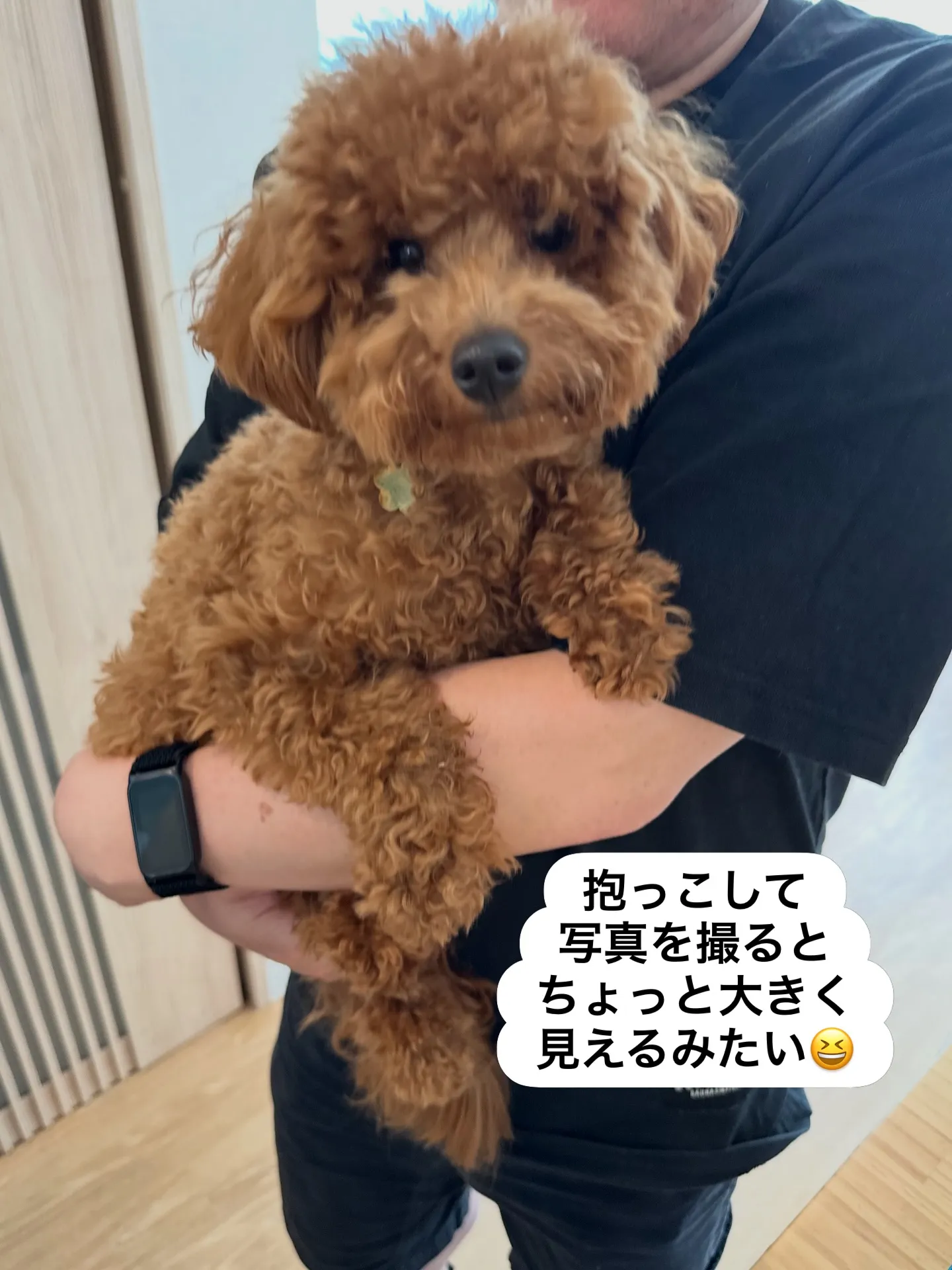 《ご来店に感謝》