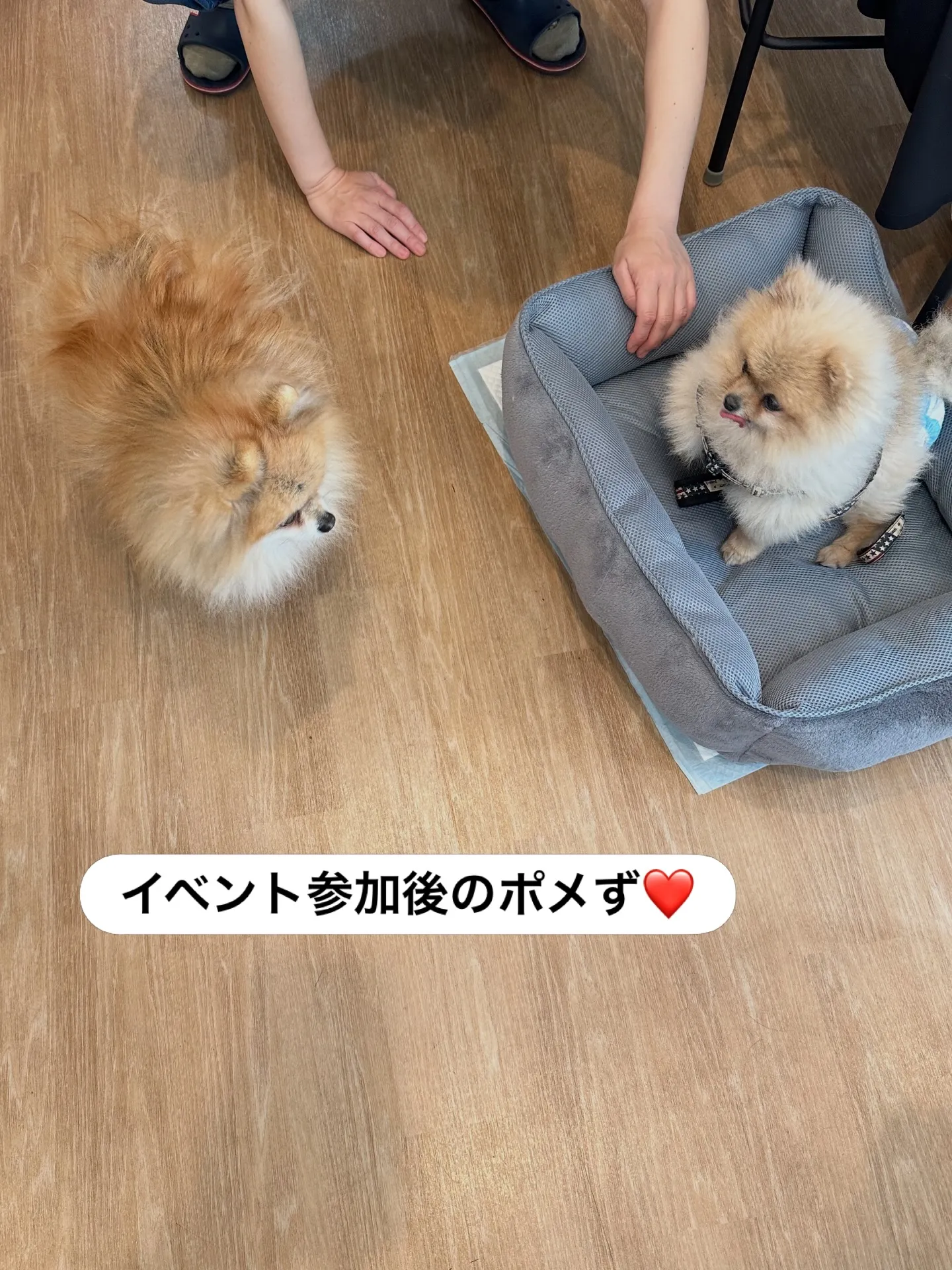 《ご来店に感謝》