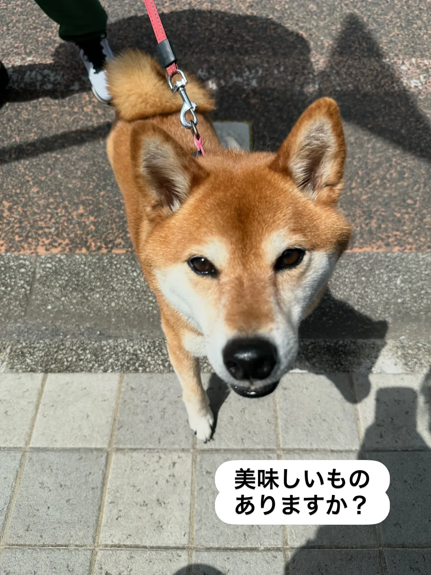 《ご来店に感謝》