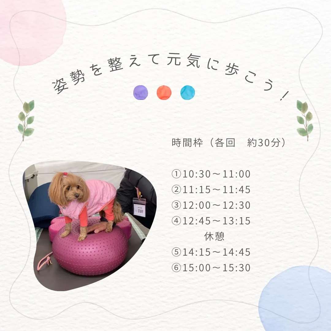 🐶姿勢を整えて、元気に歩こう！✨