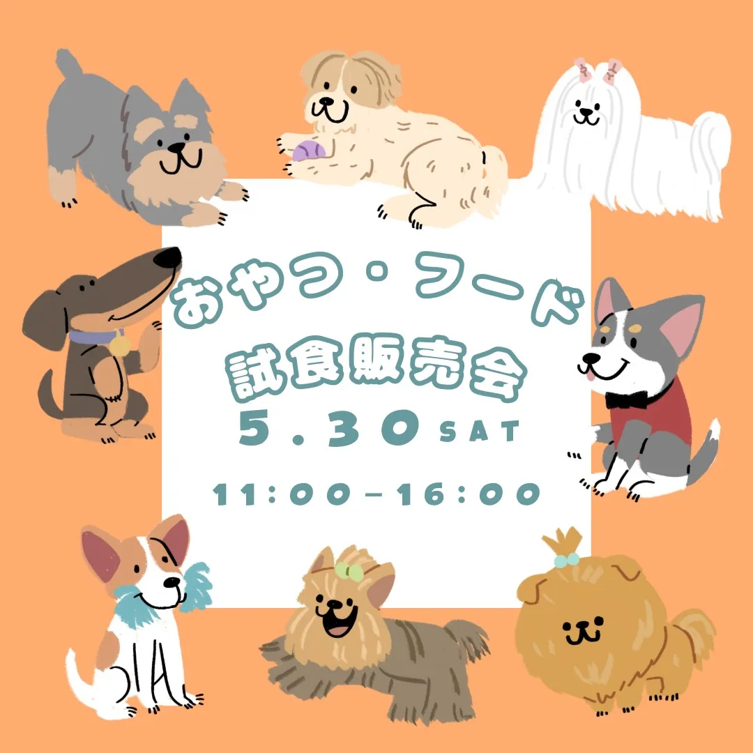 🐶✨おやつ・フード試食販売会✨🐶