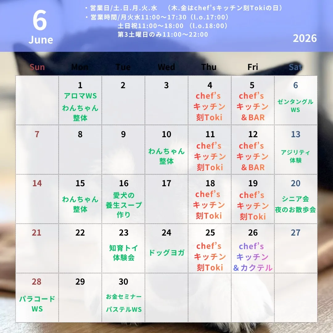 🌿6月のスケジュールのお知らせ☔️