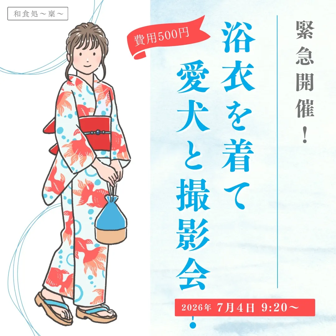 🎋浴衣で楽しむ七夕時間👘✨