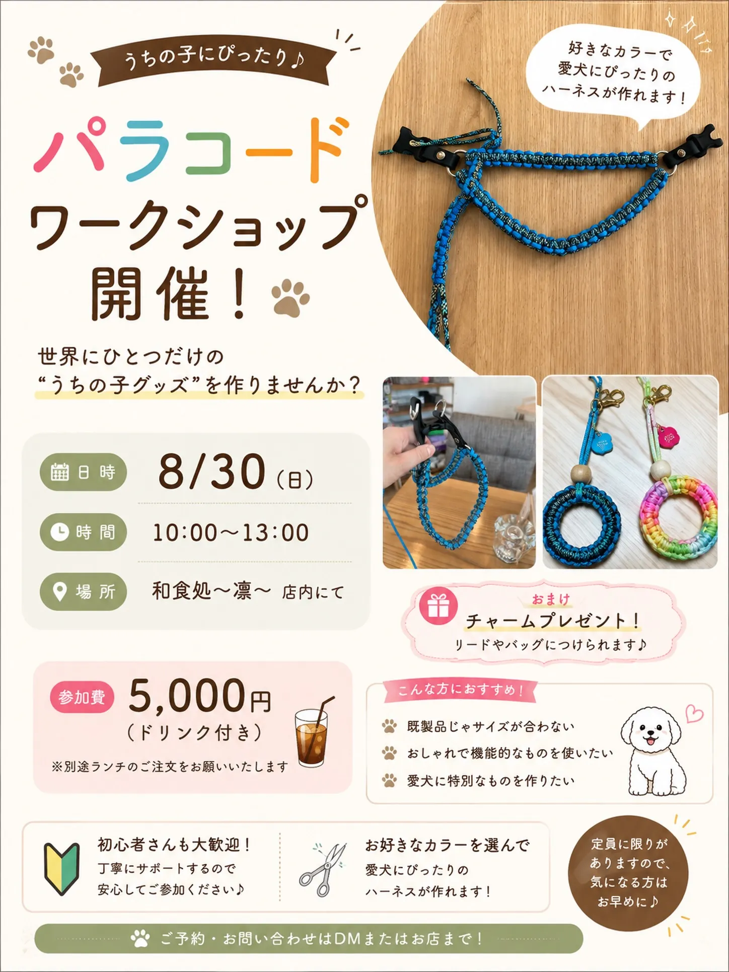 🐾\パラコードワークショップ開催/🐾