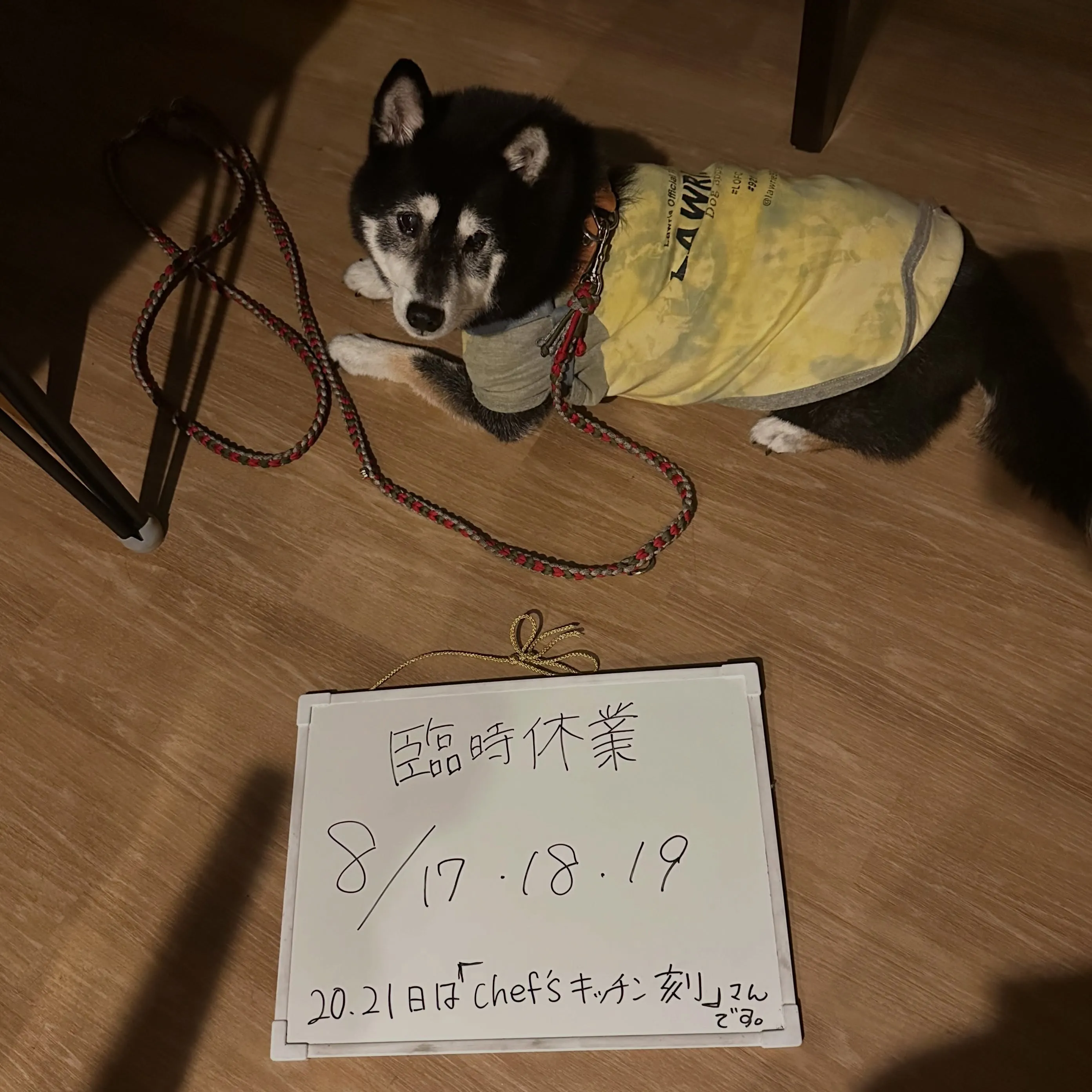 🌻【夏季休業のお知らせ】