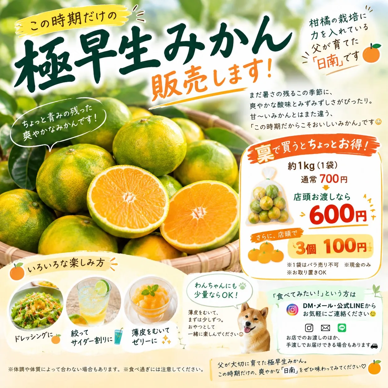 🍊極早生みかん、販売します🍊