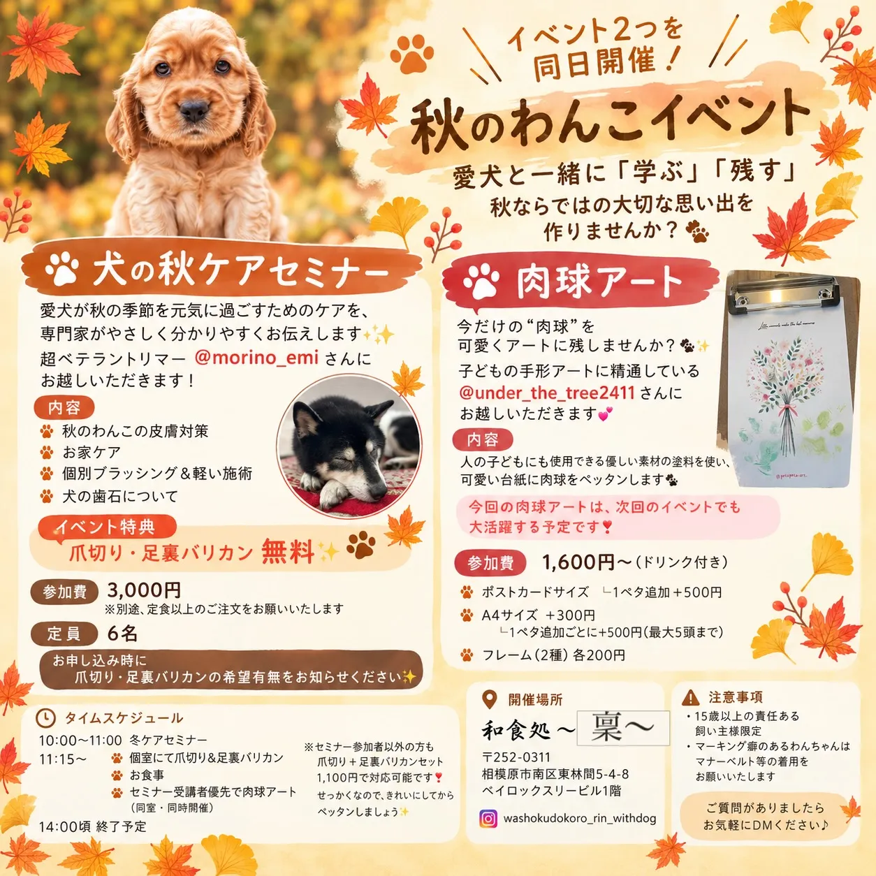 🍁🐾 イベント2つを同日開催！ 🐾🍁