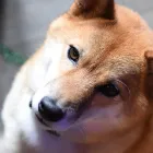 当店の特徴